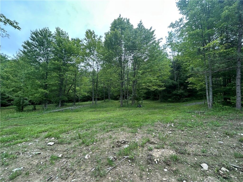 Property Photo: Gay Hill Road NY 14883
