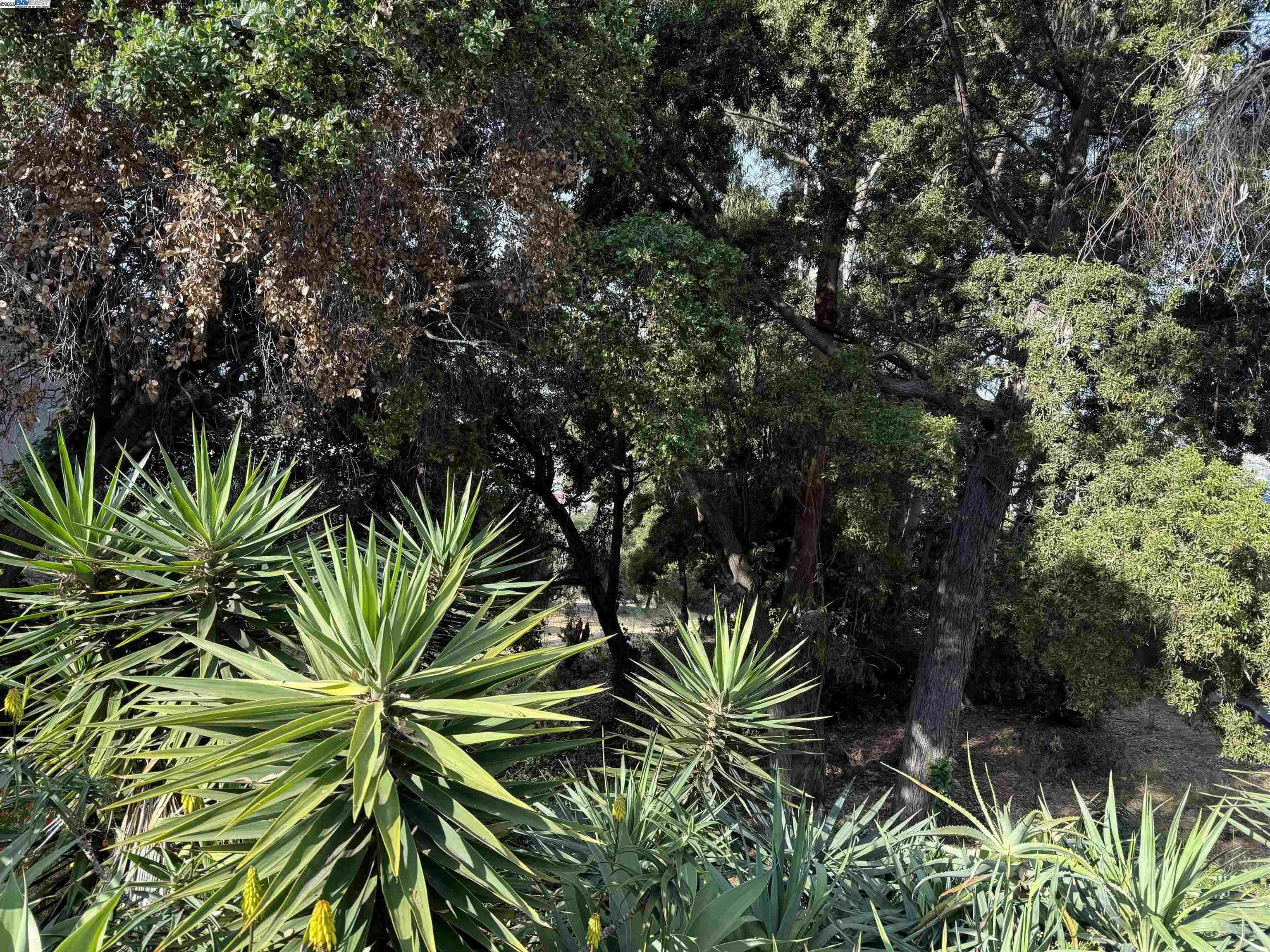 Property Photo: Outlook Ave CA 94608