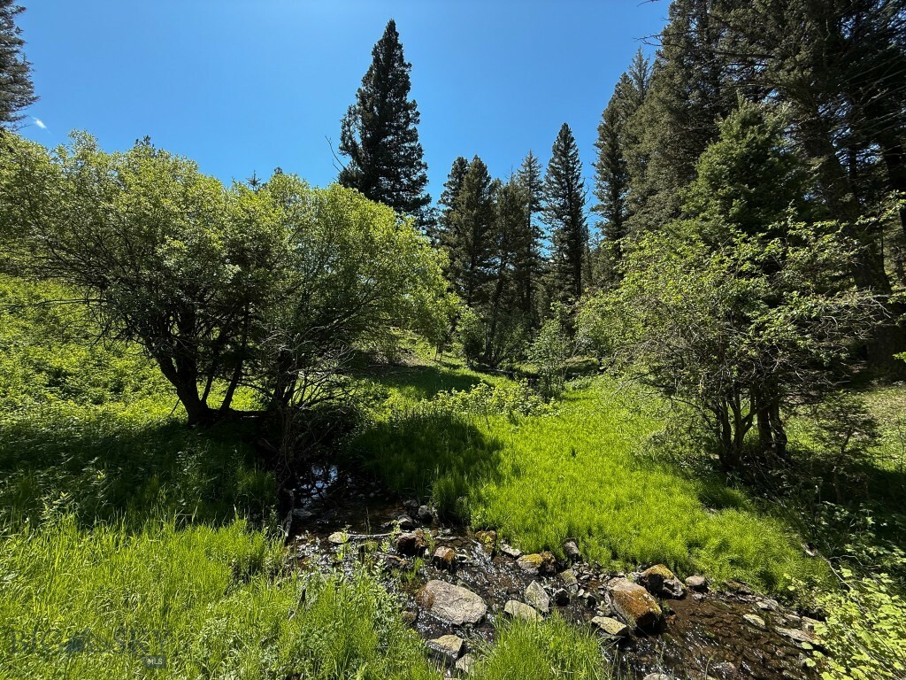 Tbd (40+/- Acres) Hope Road  Helmville MT 59843 photo