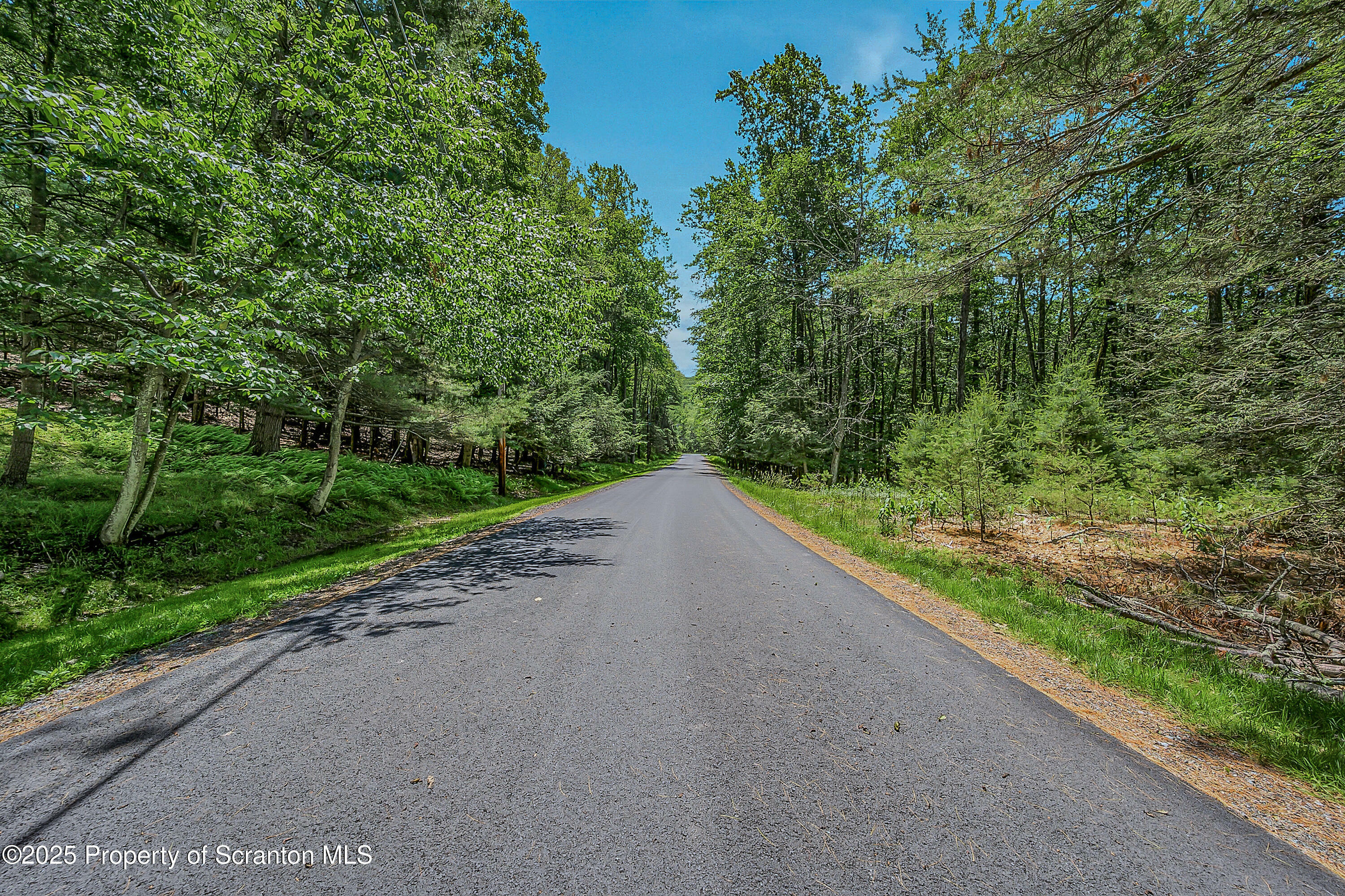 Property Photo:  165 Indian Drive  PA 18426 