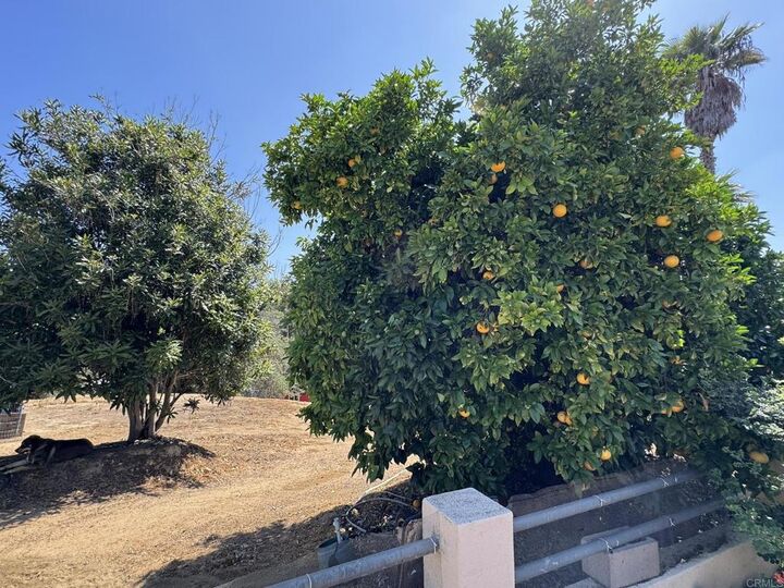 Property Photo: 2605 Kauana Loa Drive CA 92029
