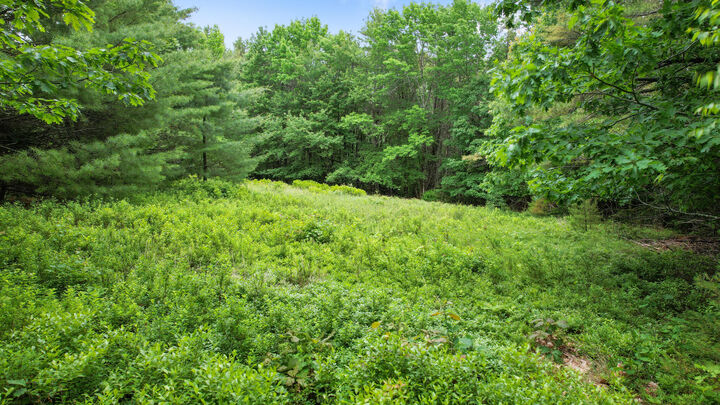 Property Photo: 00 Front Ridge Road ME 04472