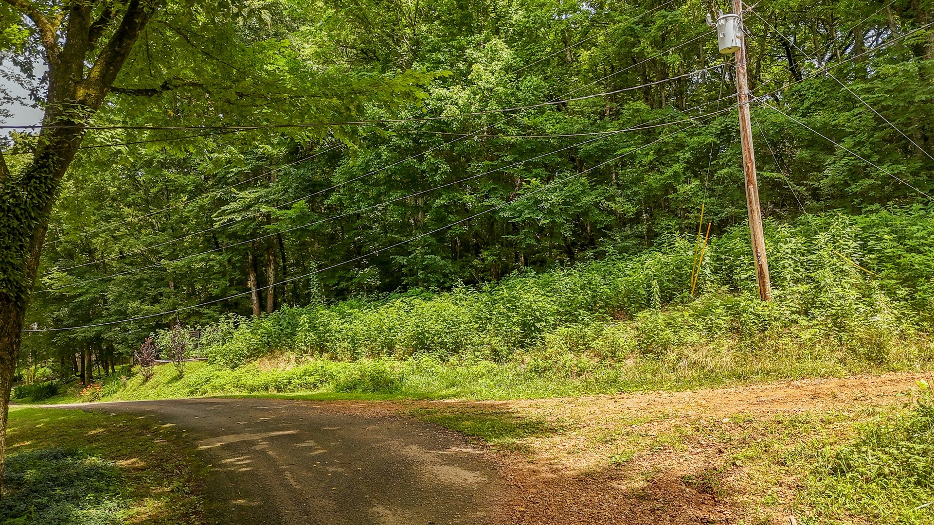 Property Photo: 0 Salt Ln TN 38372