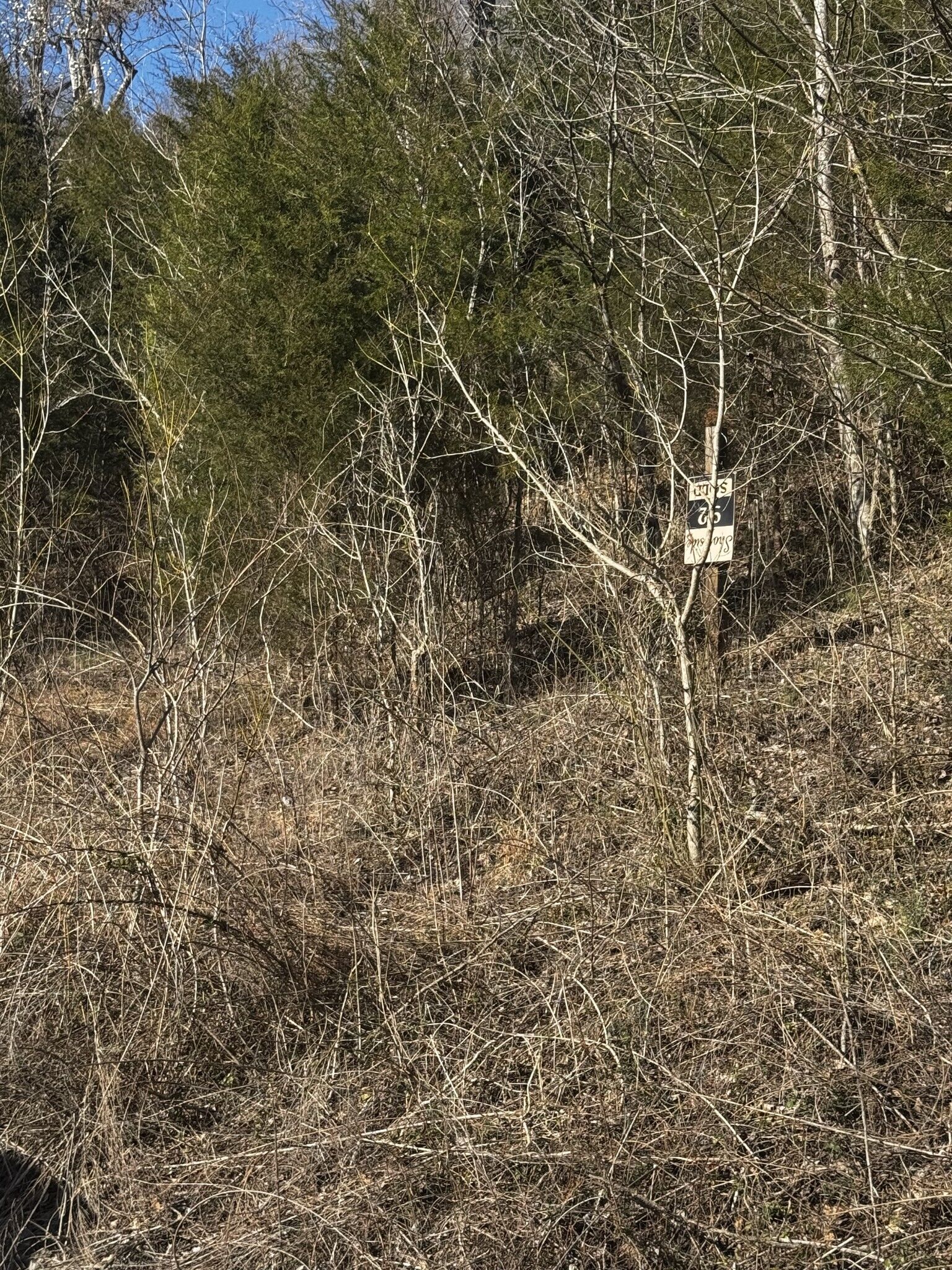 Property Photo:  92 Shoreside Dr  TN 37166 