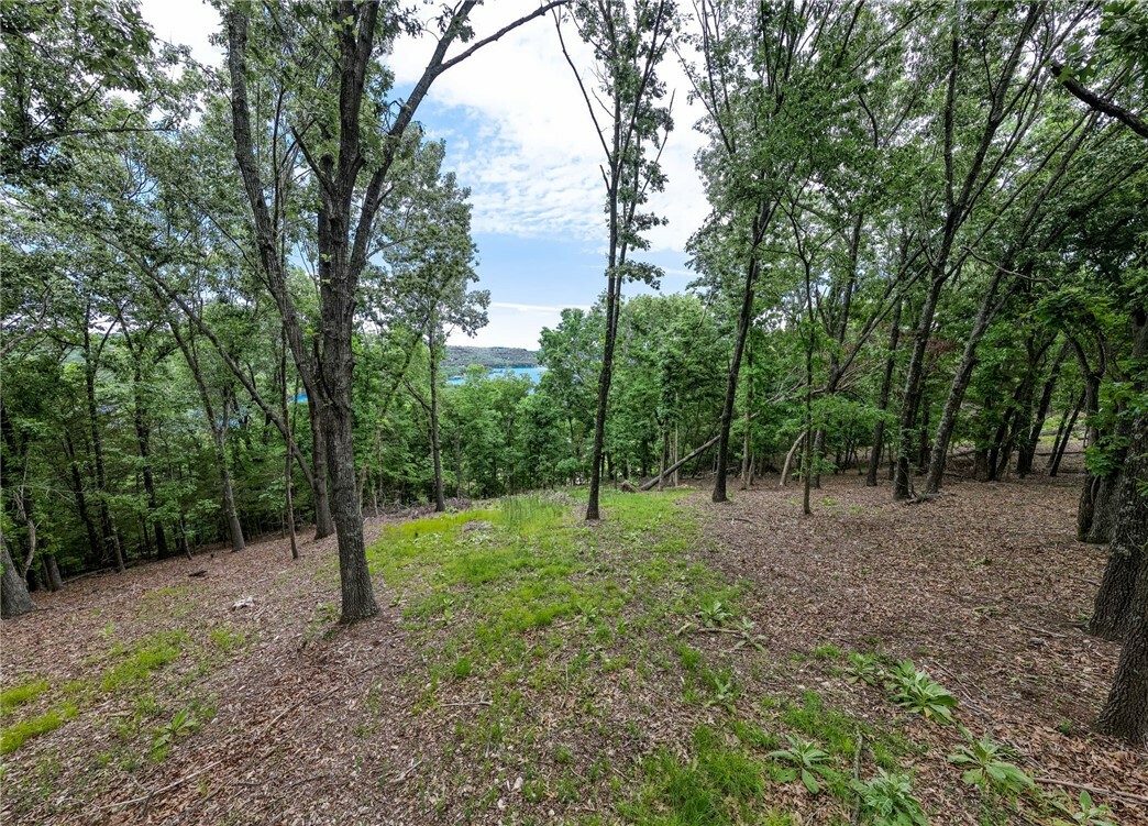 Property Photo: Tract 1 Cedar Rail Ridge Whispering Hills AR 72732