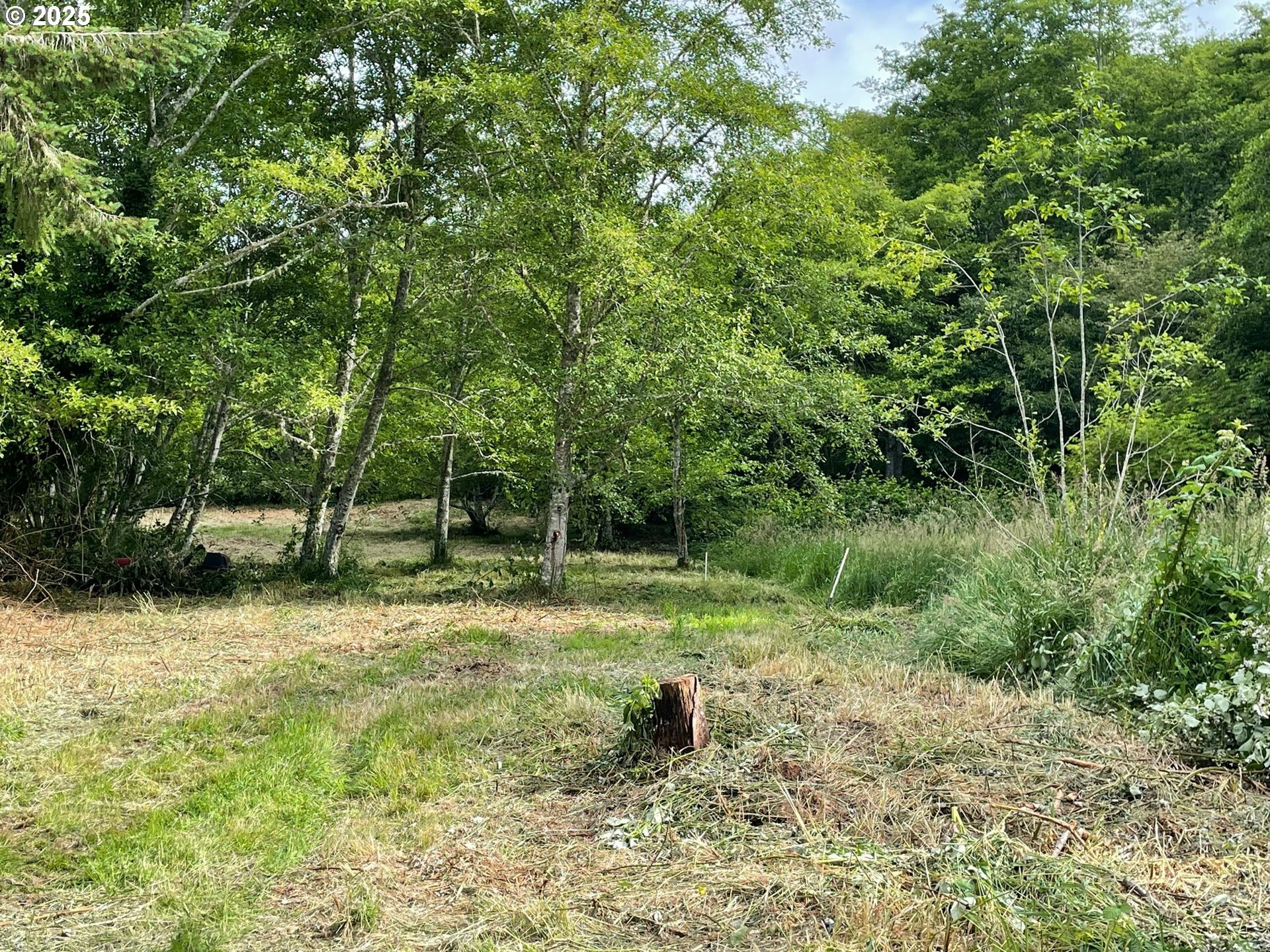Property Photo:  Salminen Rd  OR 97138 
