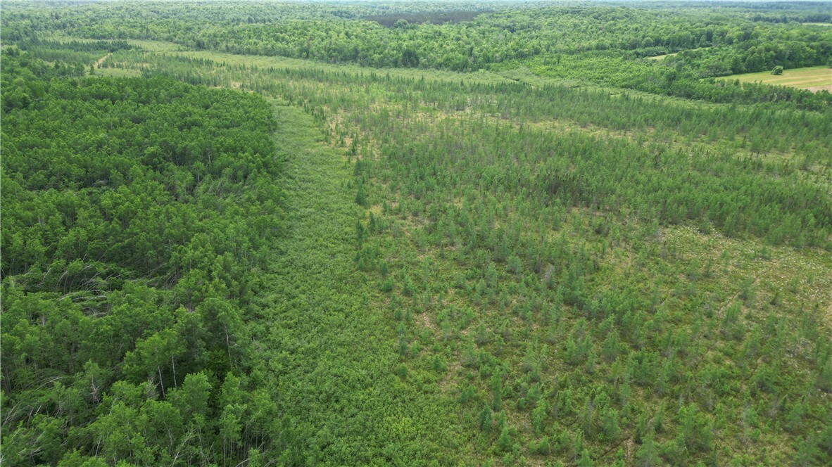 Property Photo: 80 Acres Off Of Hwy 40 WI 54867