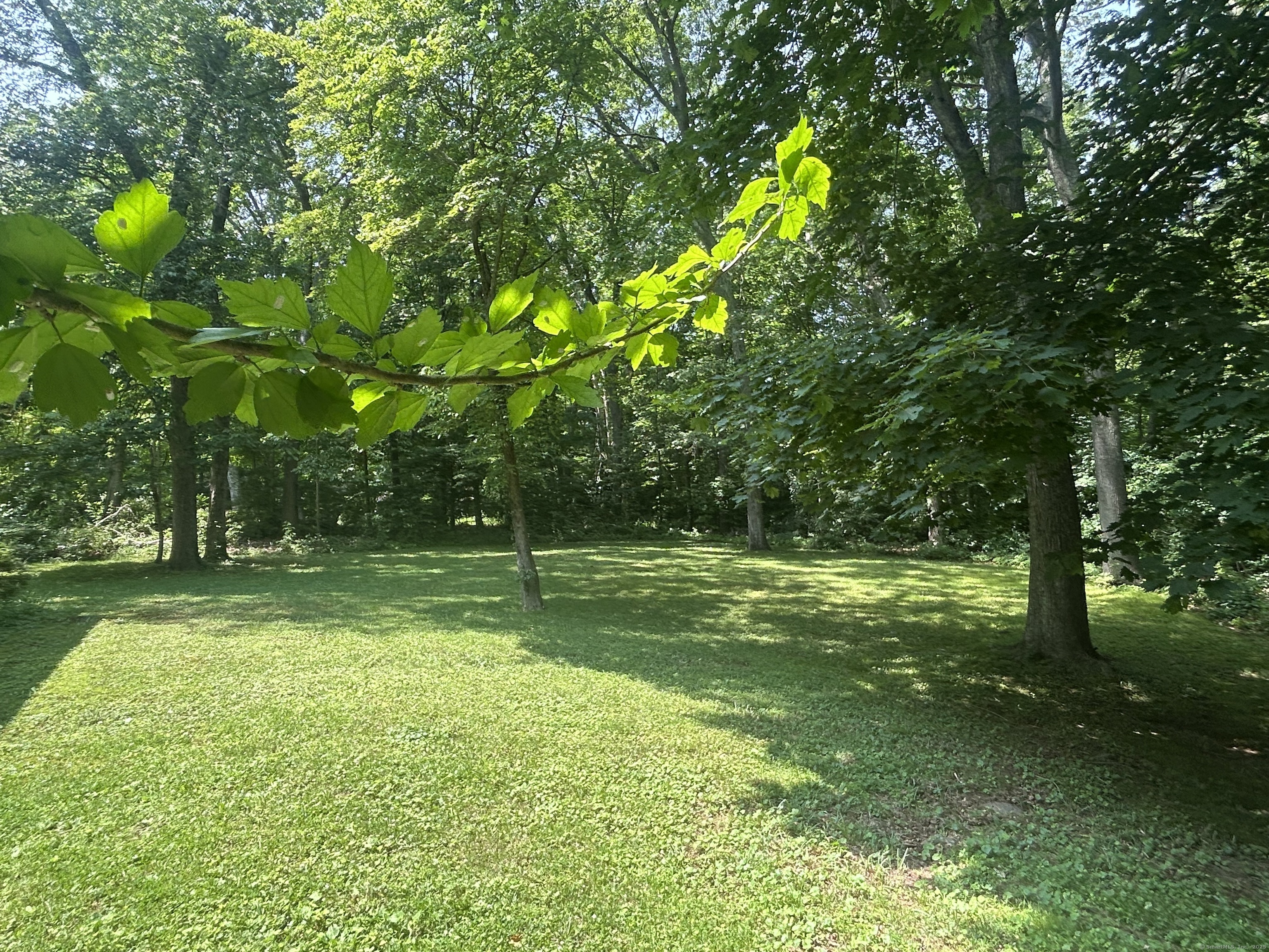 Property Photo: 7 Dogwood Drive CT 06409