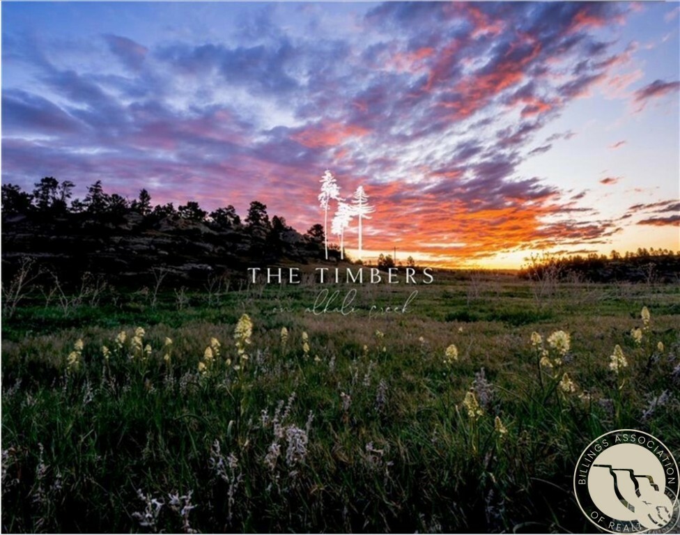 Property Photo: Lot 6 Timbers Boulevard S MT 59105