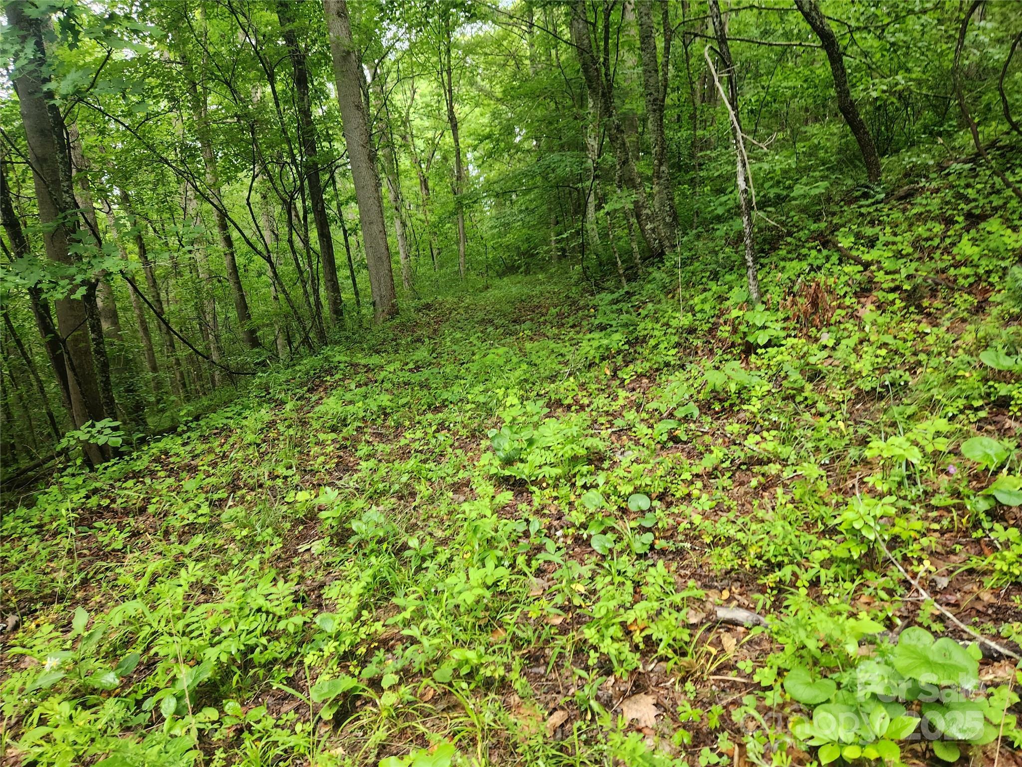 Property Photo: 9999 Henry Worley Lane NC 28753