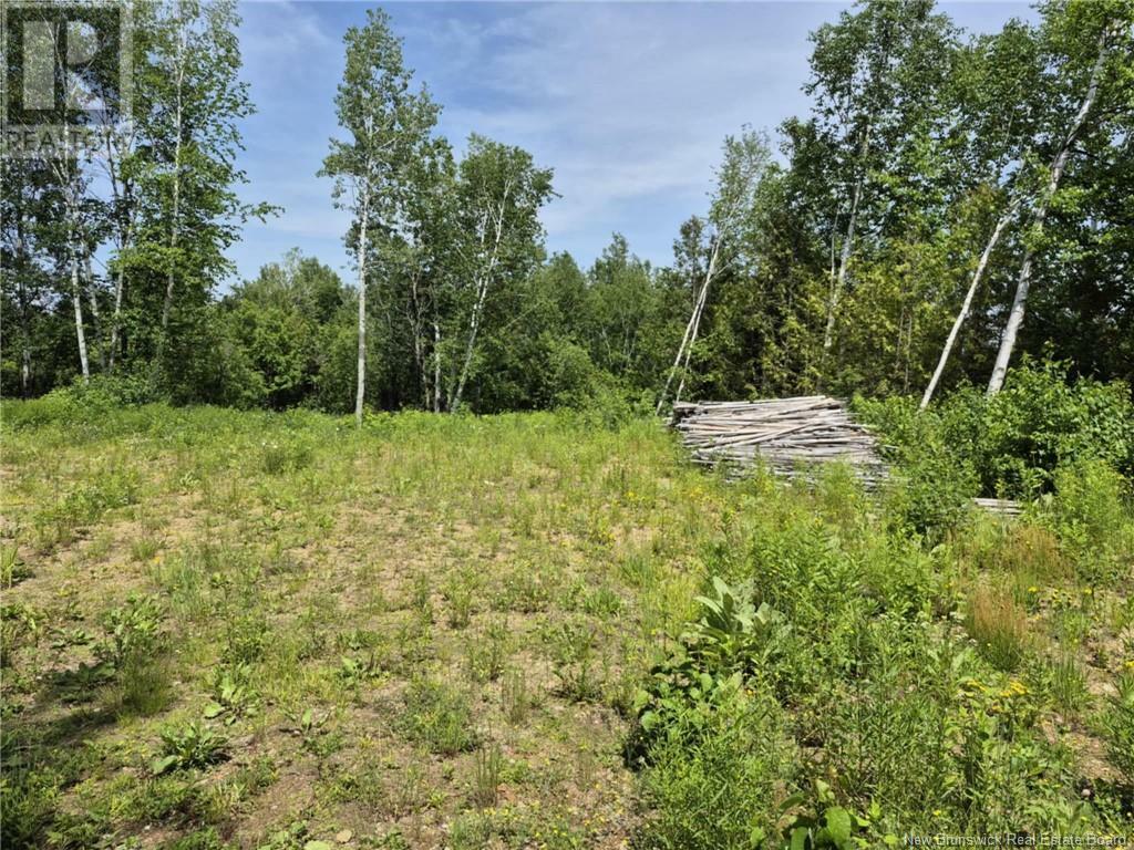 Property Photo:  1 Acres Rue Amos  NB E2A 7A5 