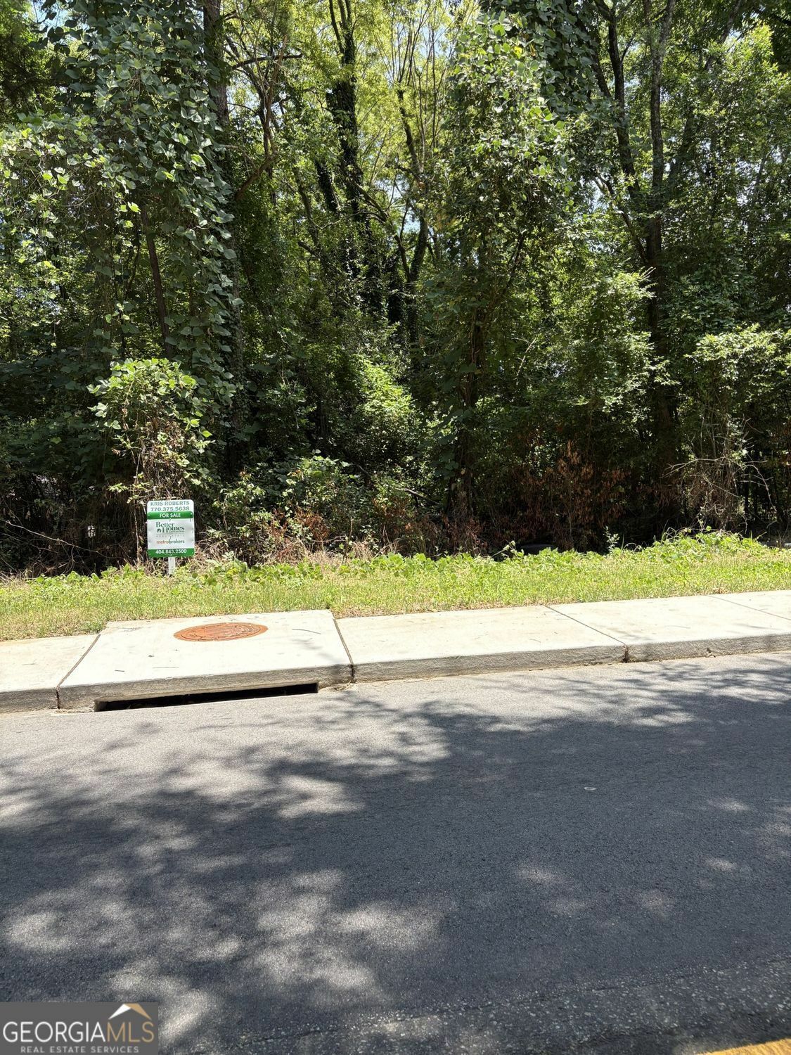 Property Photo: 3220 Hollingsworth Road GA 31210