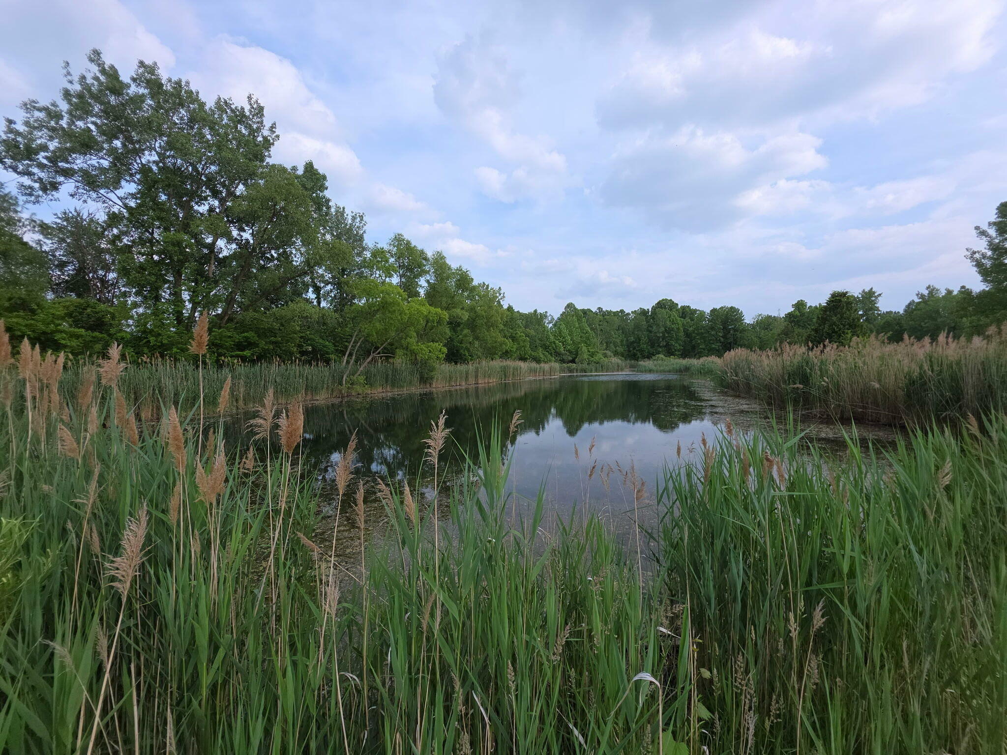 Property Photo: 11856 W Snyder Road IN 46391