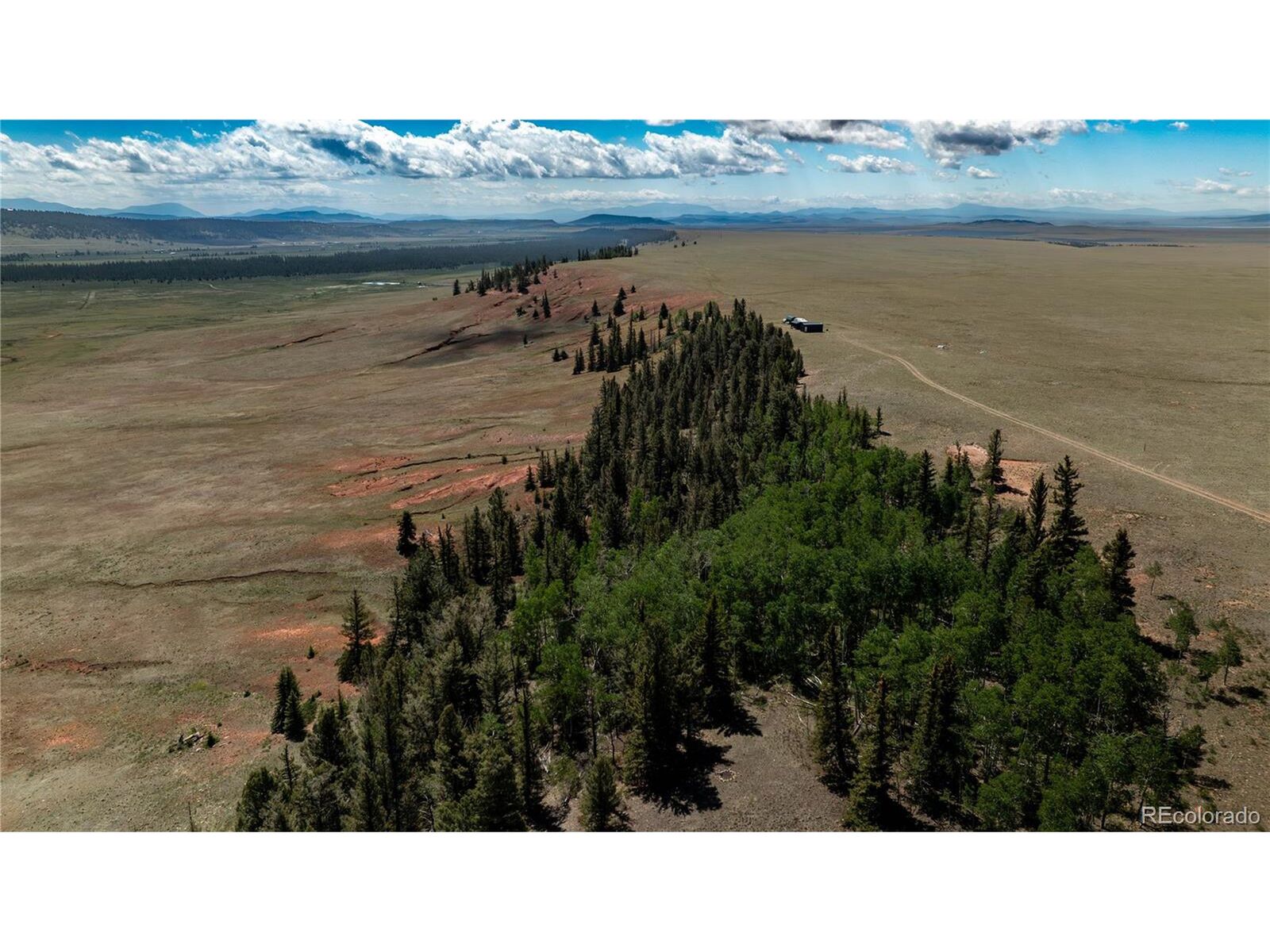 Property Photo:  4319 Meier Ridge Trl  CO 80440 