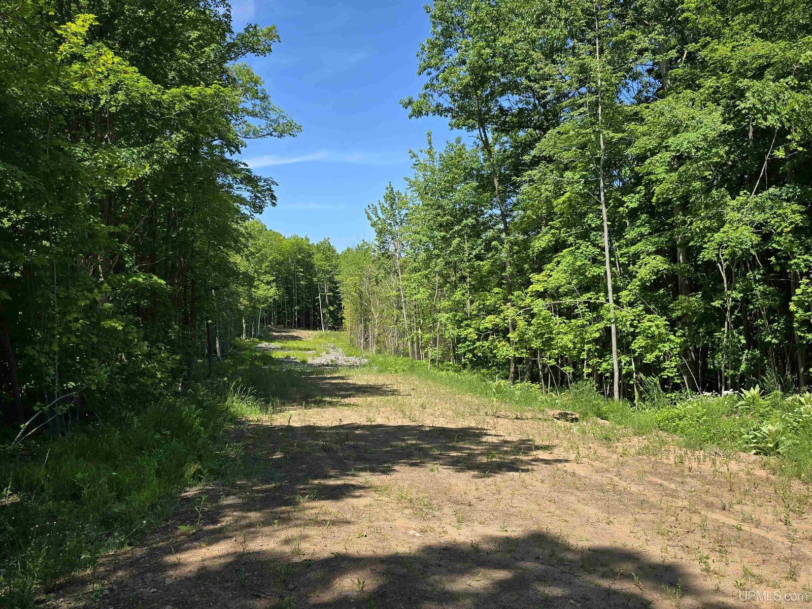 Property Photo:  1506 Sugar Maple Lane  MI 49931 