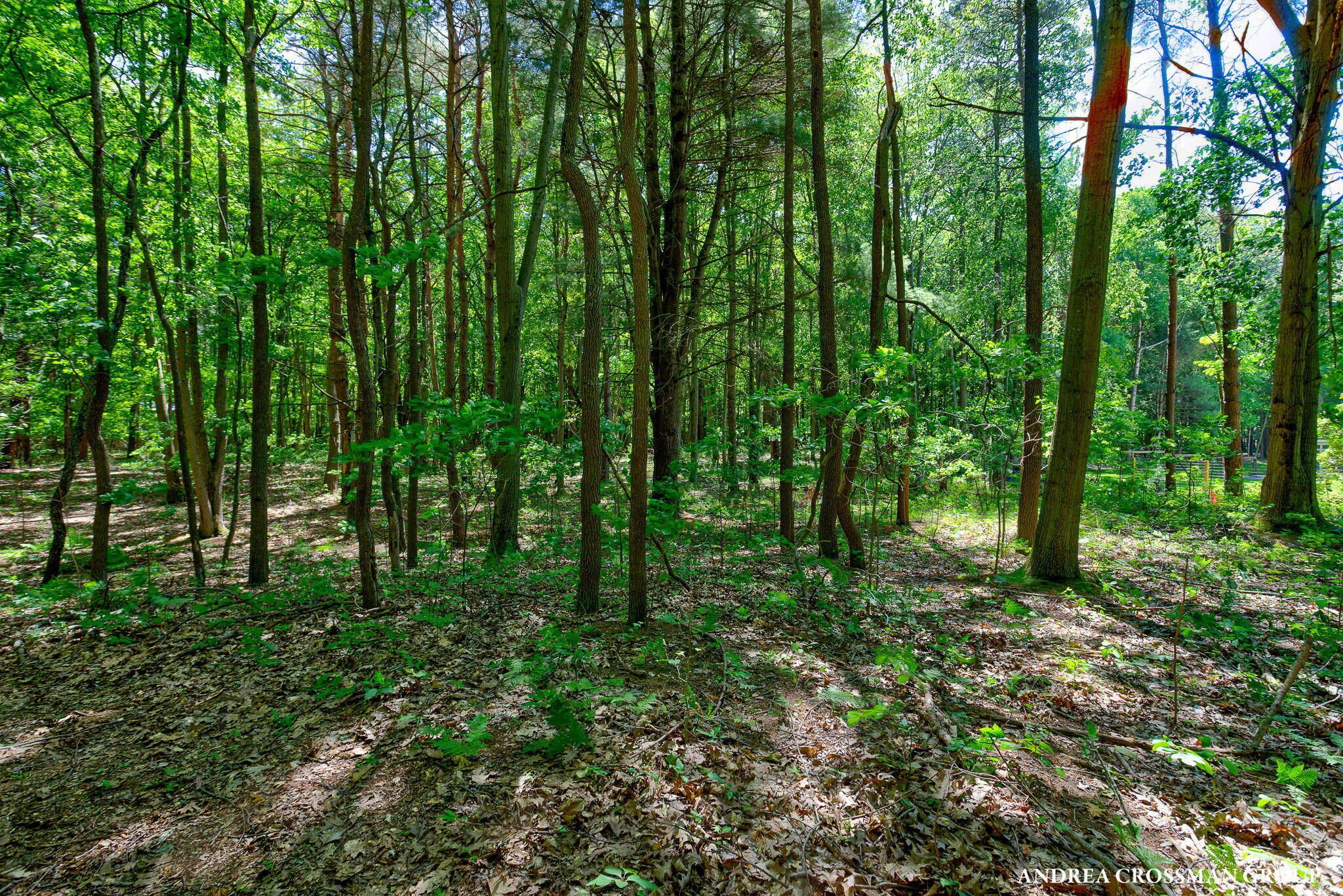 Property Photo: 0 Stonebridge Trail MI 49408