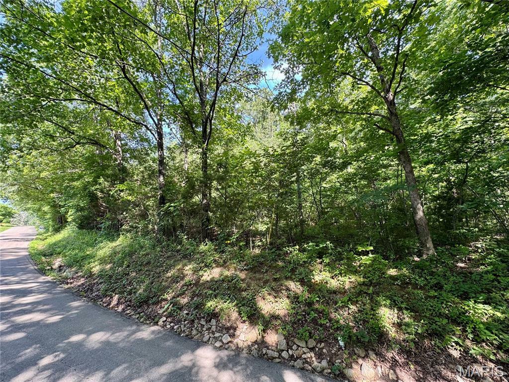 Property Photo:  9923 Koester Springs Road  MO 63036 