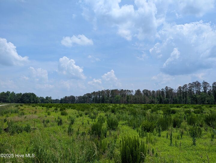 Property Photo: 000 Cedar Fork Road NC 28518