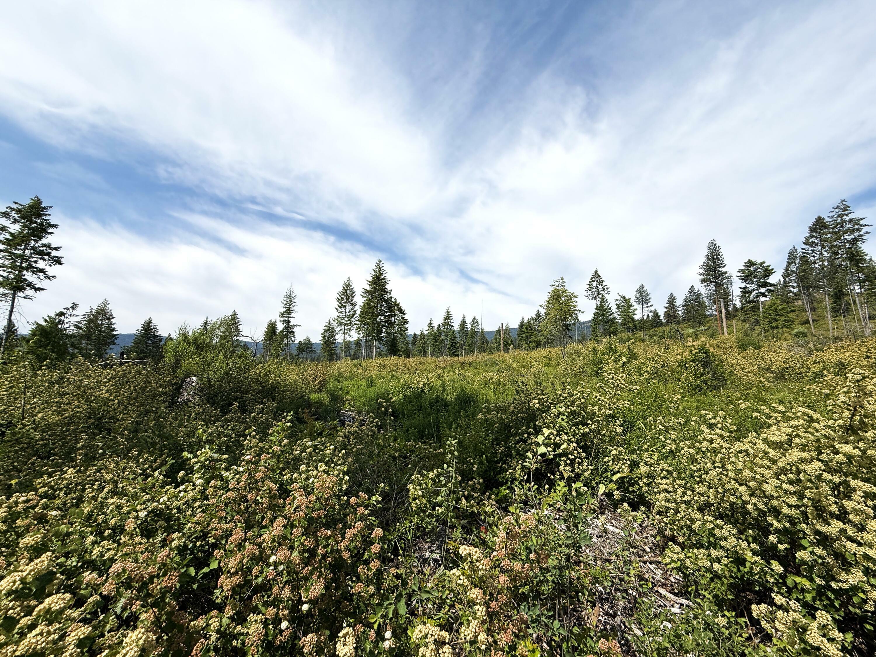 Property Photo: Tbd Rockabye Ln WA 99118