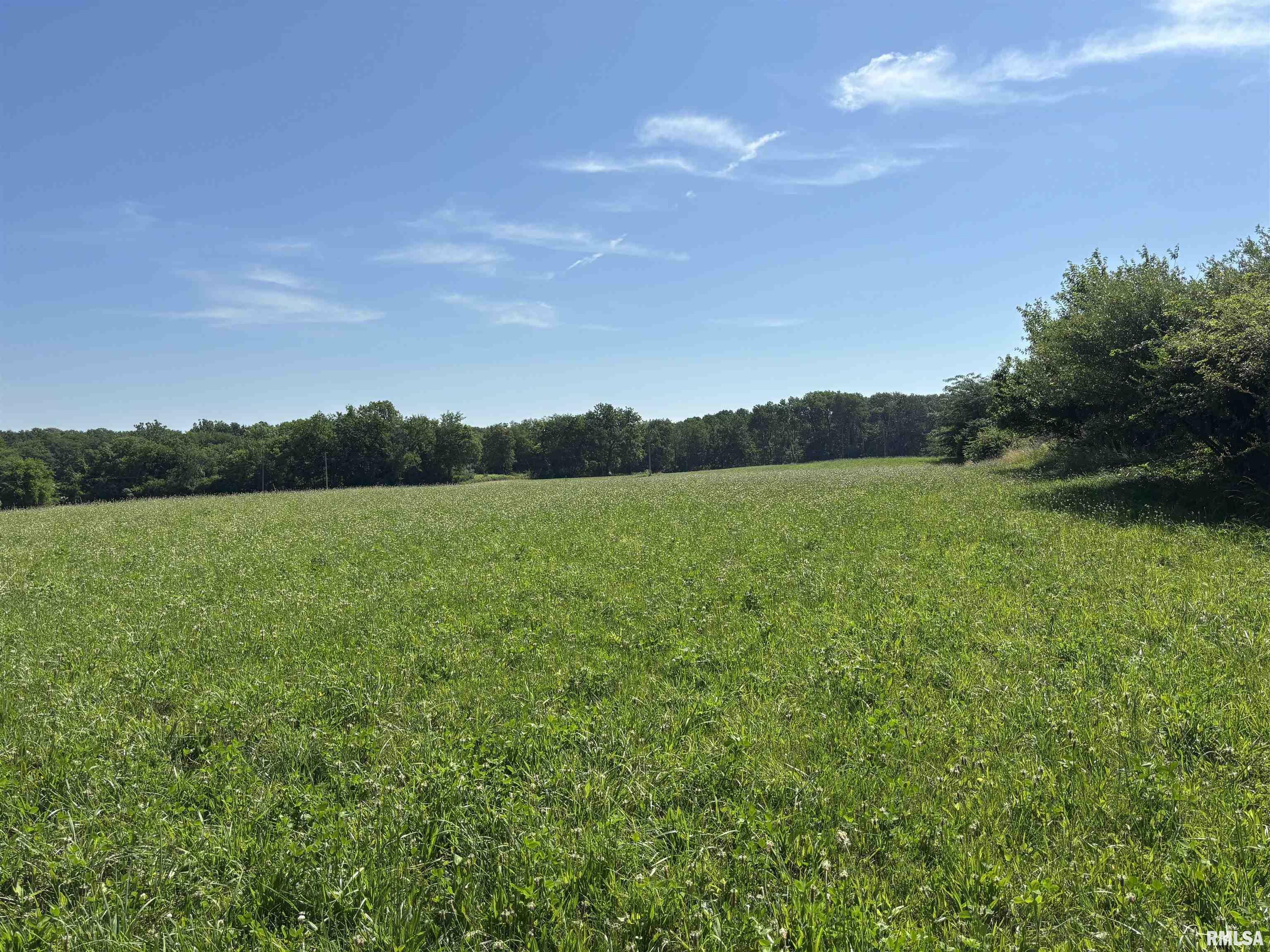 Property Photo: 000 County Road 1300 E Road IL 61540