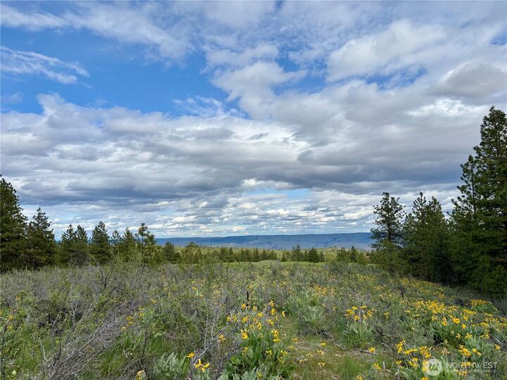 0  Nhn Watson Lane  Chelan WA 98816 photo