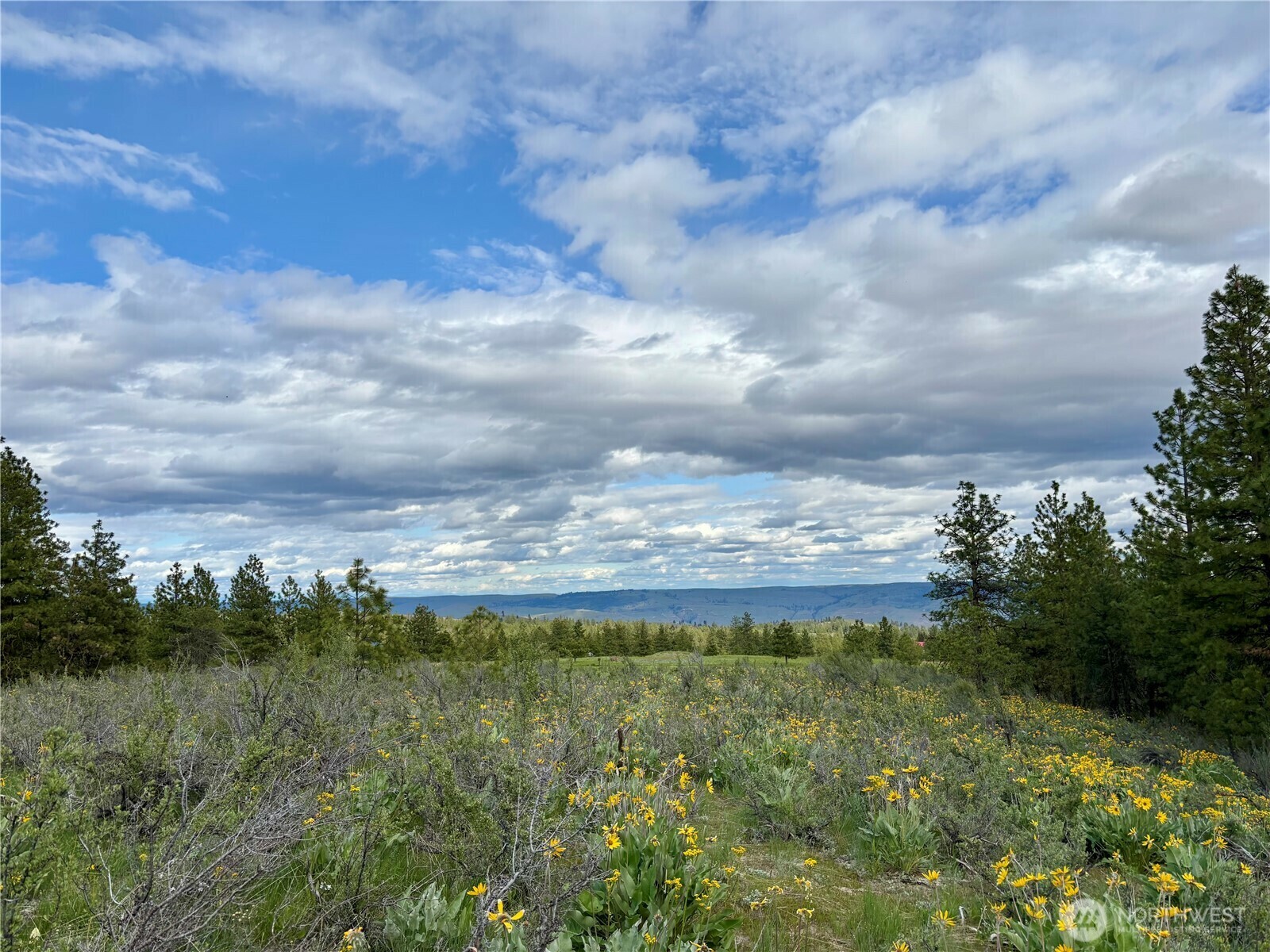 Property Photo: 0 Nhn Watson Lane WA 98816