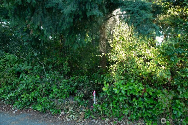 Property Photo: 0 1st Avenue NE WA 98125