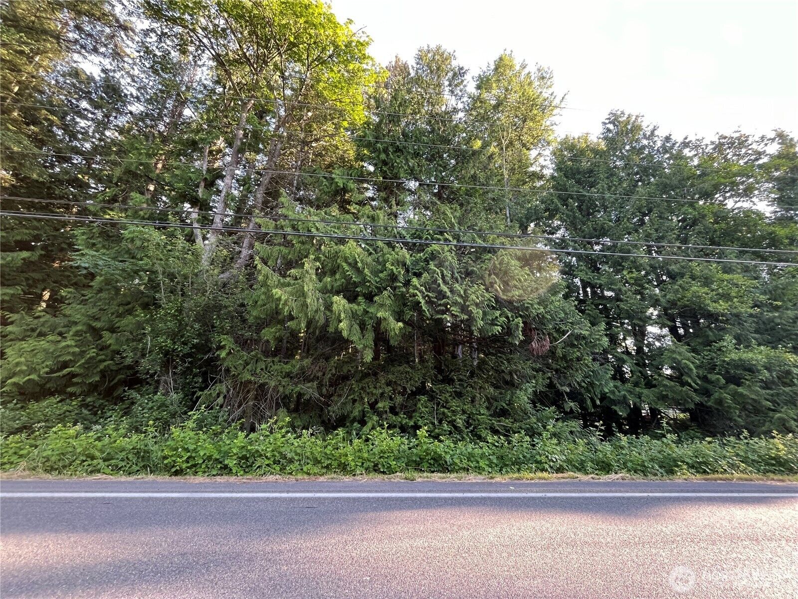 Property Photo:  12601  Marine Dr  WA 98271 