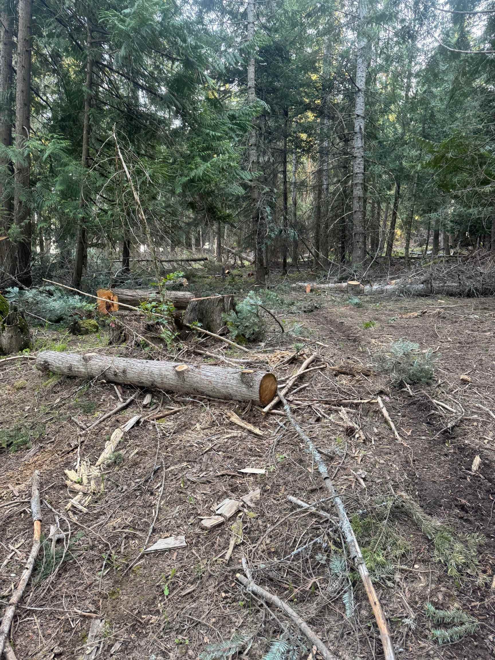 Property Photo: Nka Allen Rd (10164) Rd WA 99009