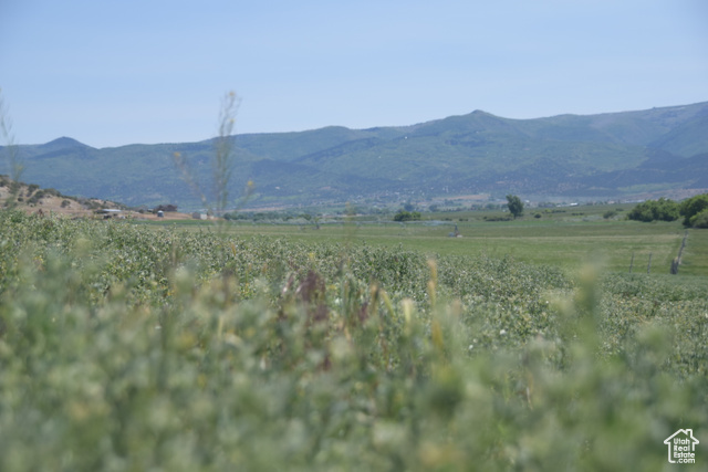 Property Photo: Unknown UT 84647