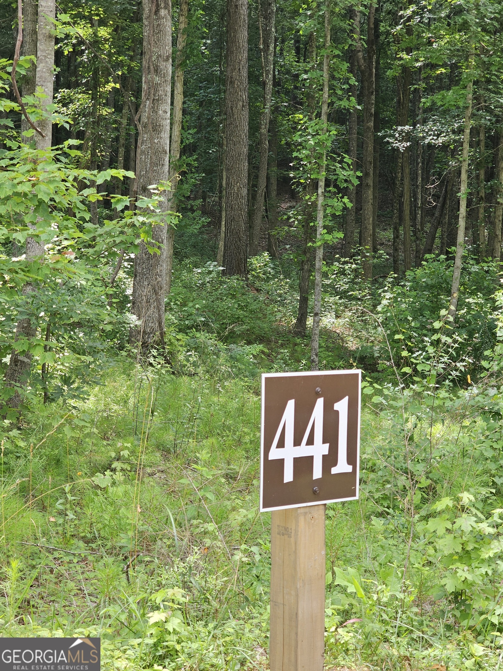 Property Photo: 0 Twisted Oak Road GA 30175