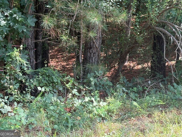 Property Photo:  0 Amanda Court  GA 30222 
