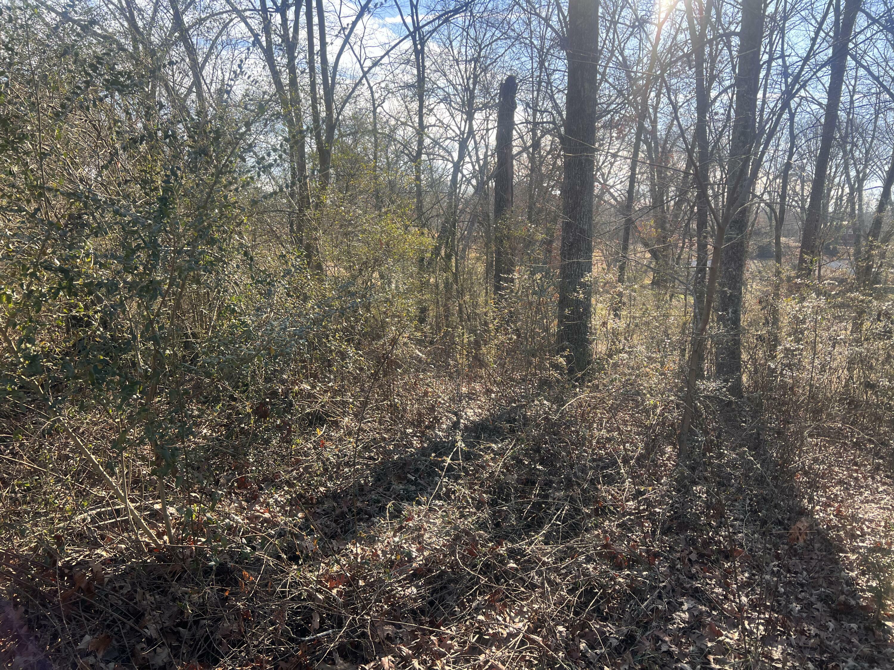 Property Photo:  0 S Ehrich Avenue  AL 35740 