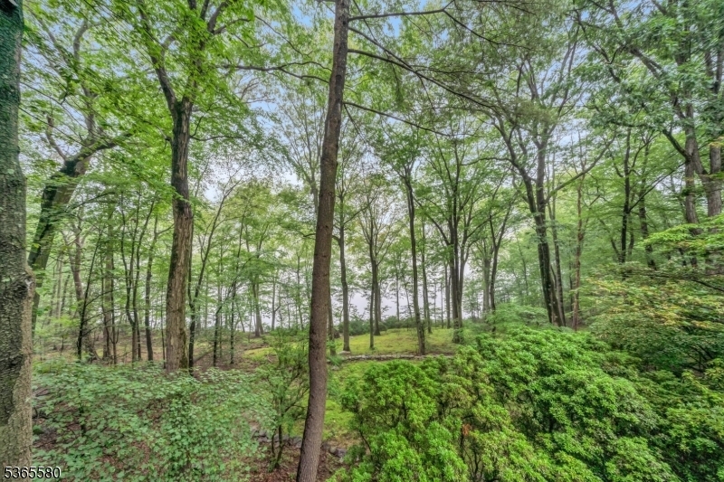 Property Photo:  37 Lenape Dr  NJ 07045 