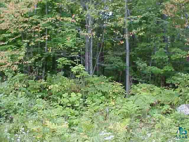 Property Photo: 39 A Hwy 13 To Buckley Road WI 54844