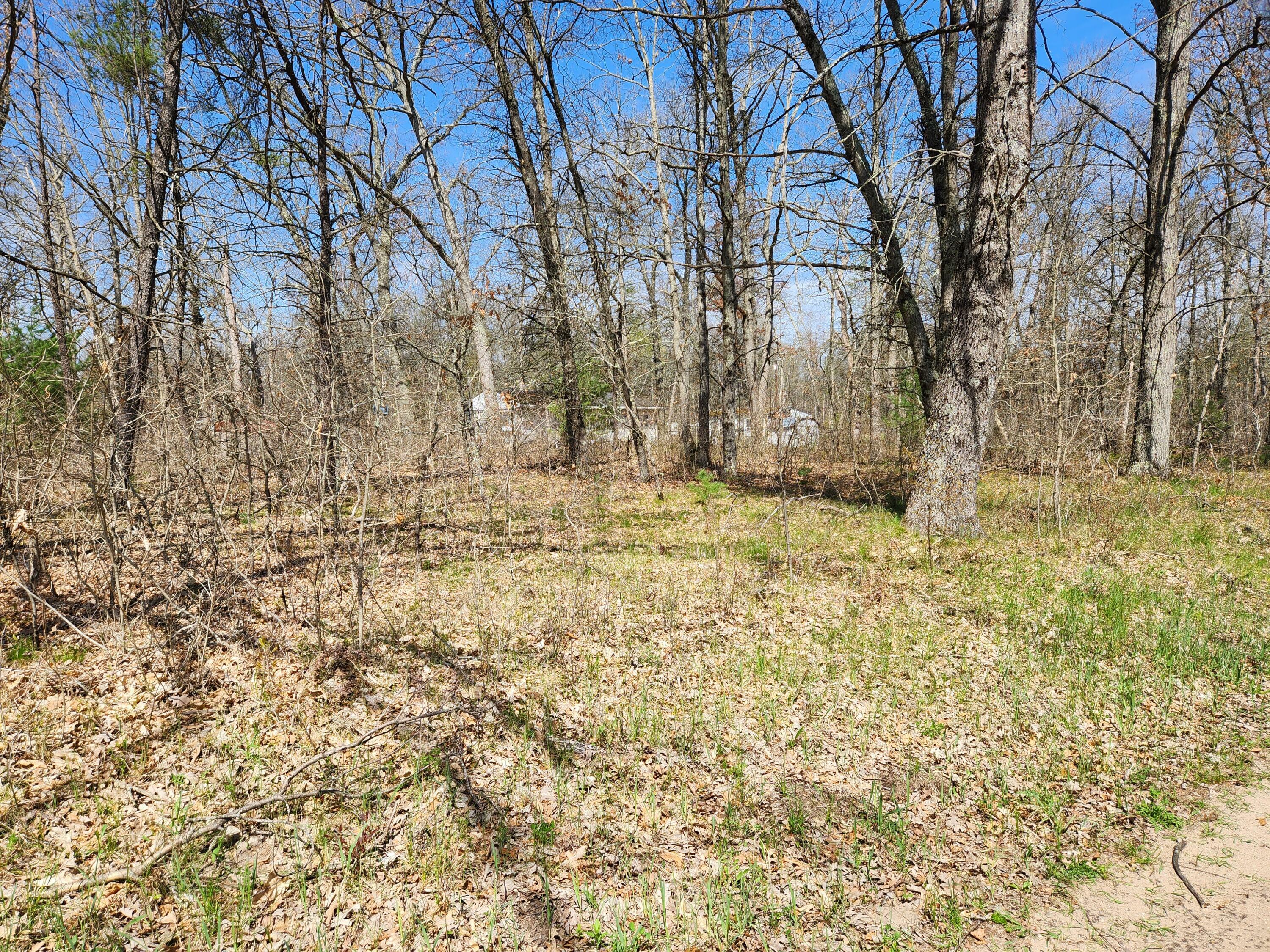 Property Photo: Tbd S Princeton Way Avenue MI 49304