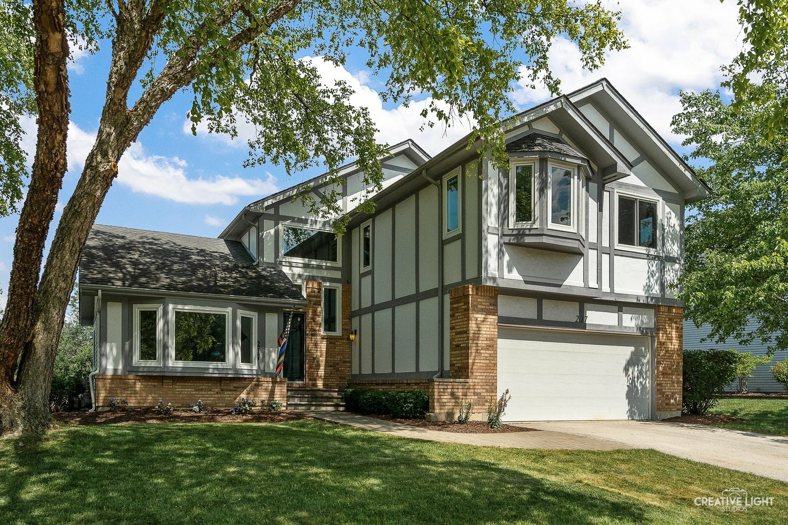 Property Photo: 217 Cortez Court IL 60563