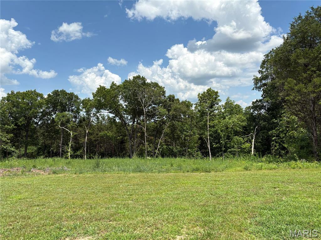 Property Photo: 658 Oak Crossing (Lot 14) Drive MO 63089