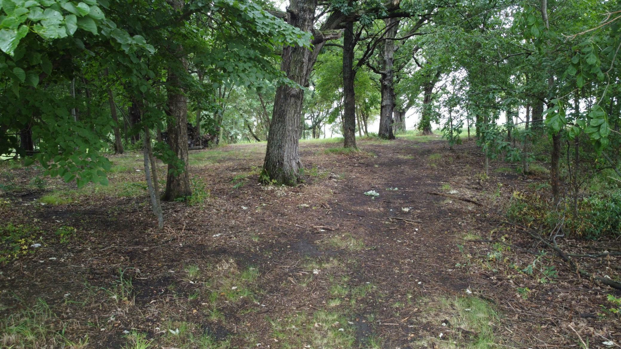 Property Photo: Lots 1 &Amp 2 Mary Lane NW MN 56315