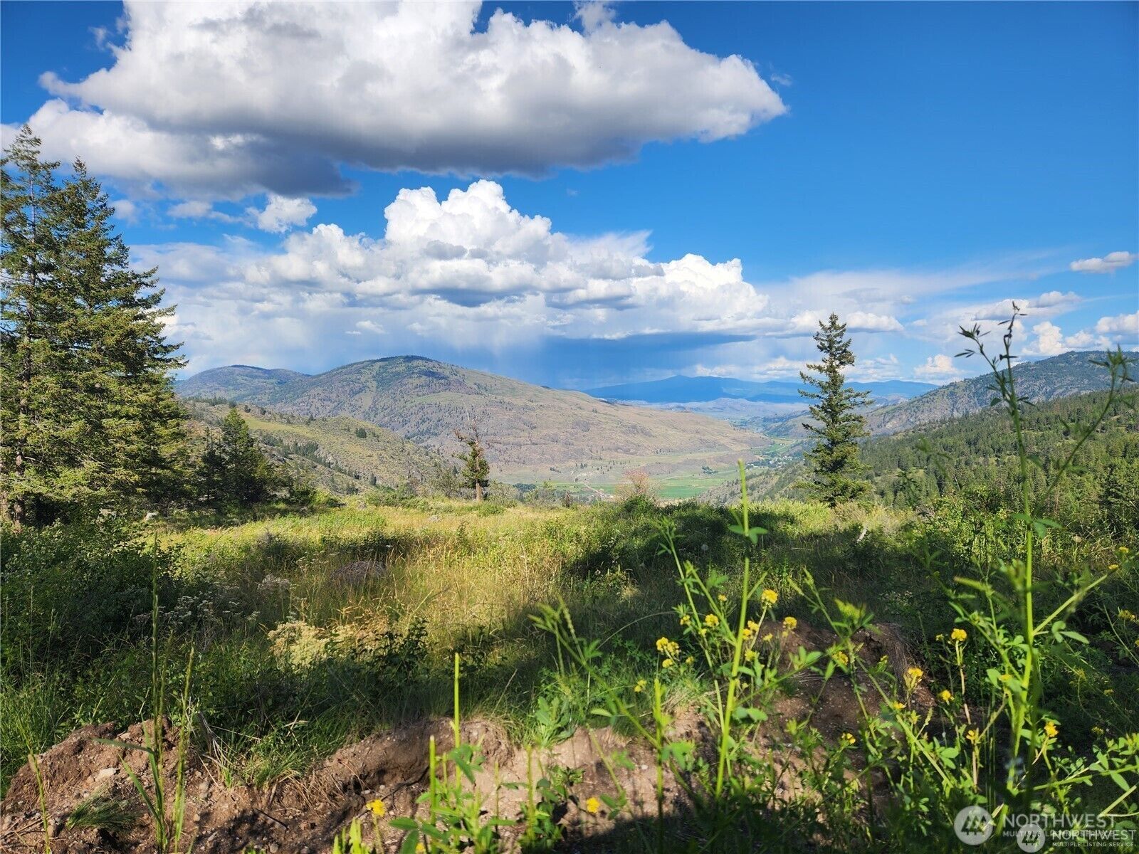 Property Photo: 350 Tbd Toats Coulee Road WA 98827