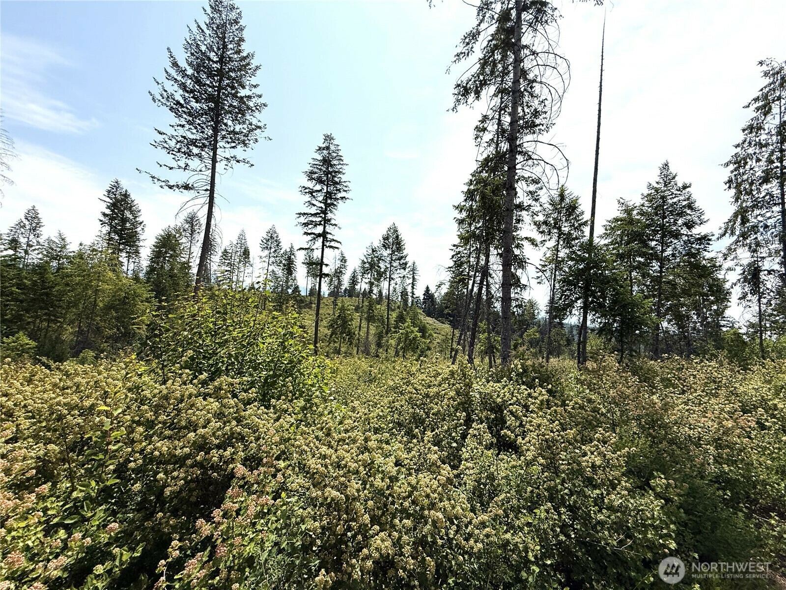 Property Photo:  0 Lot 1  Rockabye Lane  WA 99118 