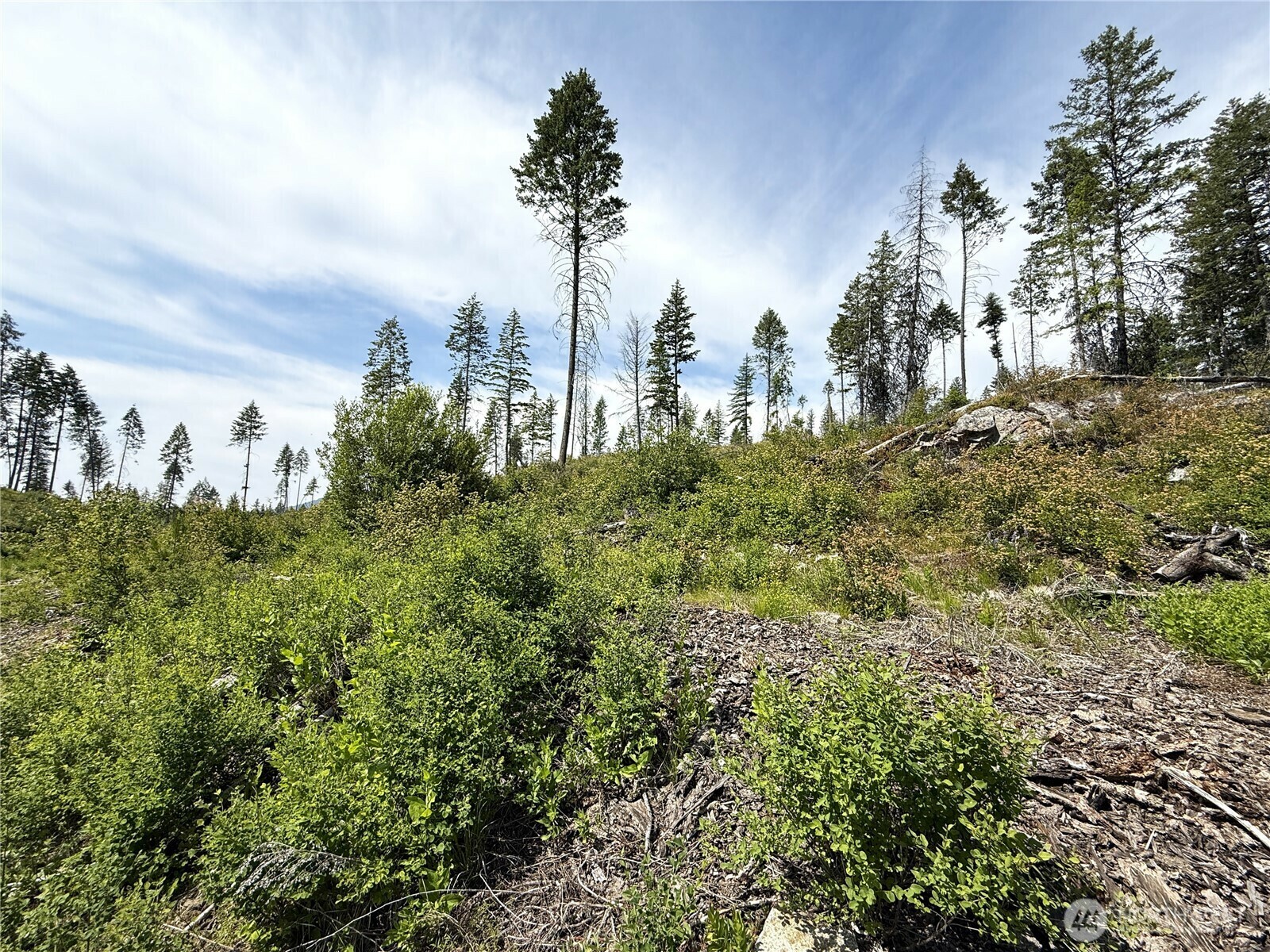 Property Photo:  0 Lot 3  Rockabye Lane  WA 99118 