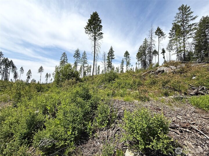 Property Photo:  0 Lot 3  Rockabye Lane  WA 99118 