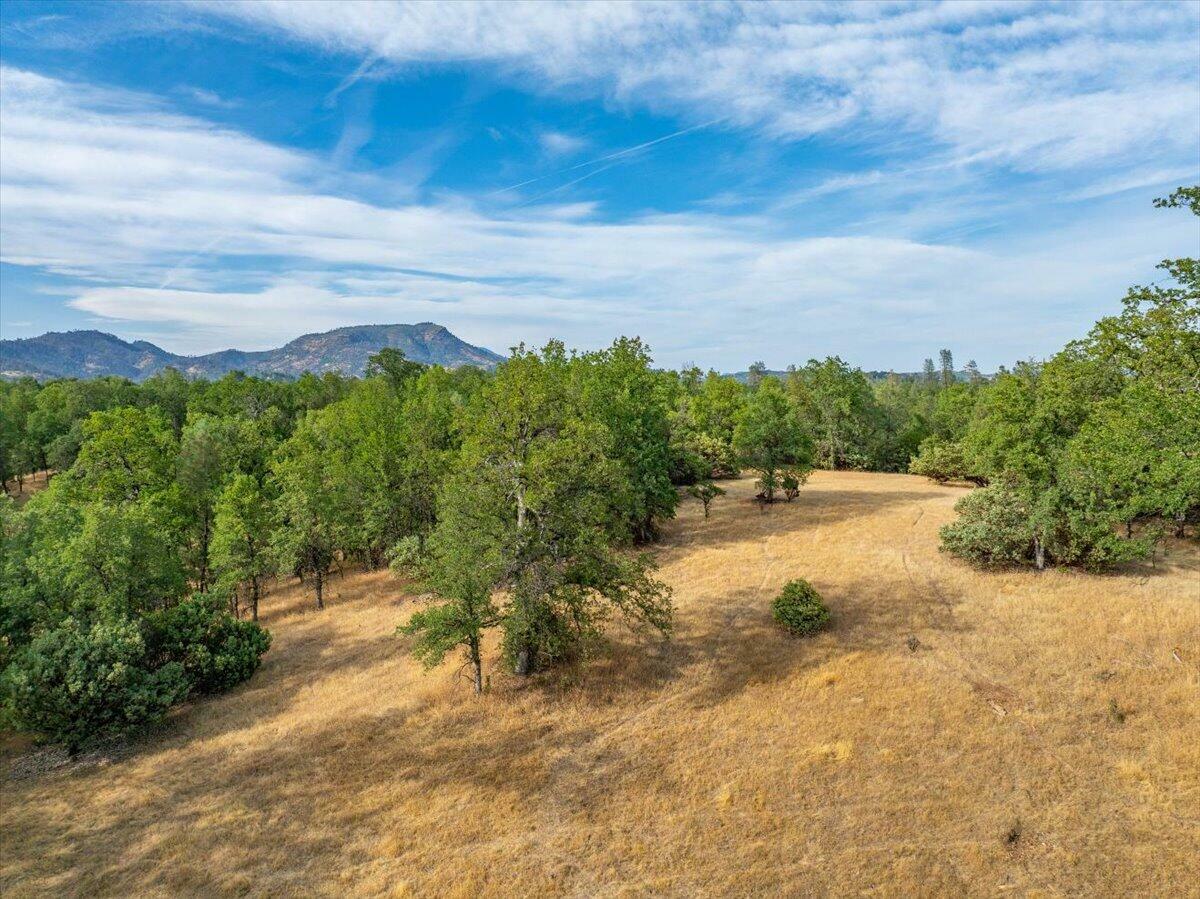 Property Photo:  Mylindas Way  CA 96003 