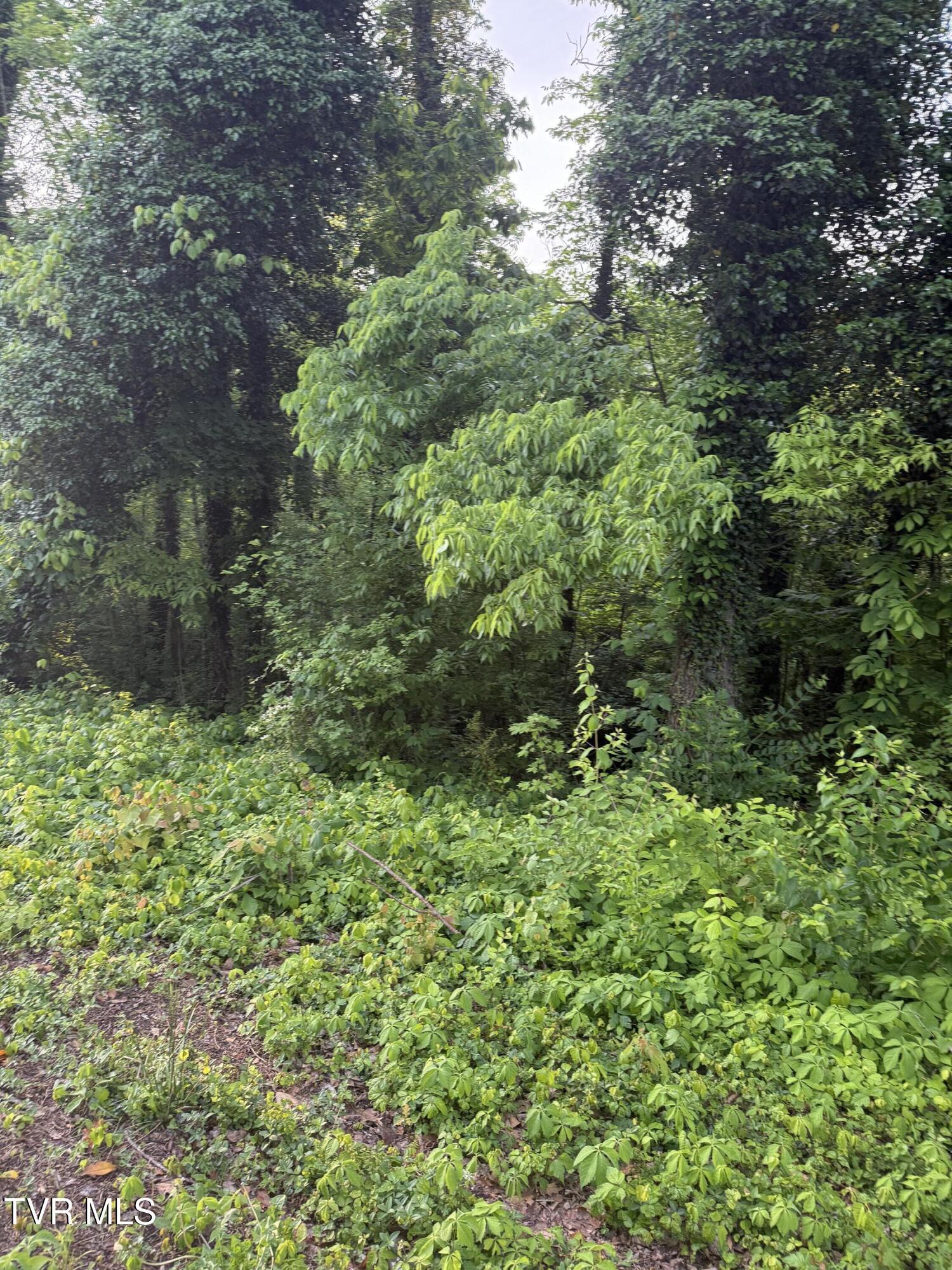 Property Photo: Lot 16 Ashley Street TN 37664