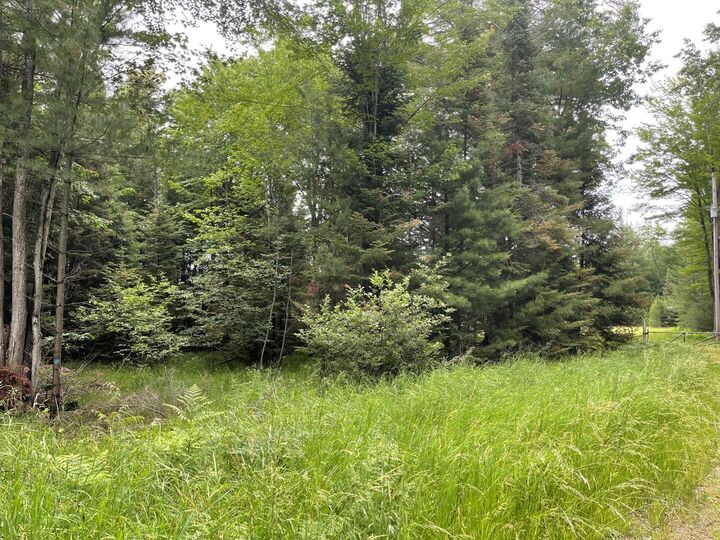 Lot 175 Nestle Road  Prudenville MI 48651 photo