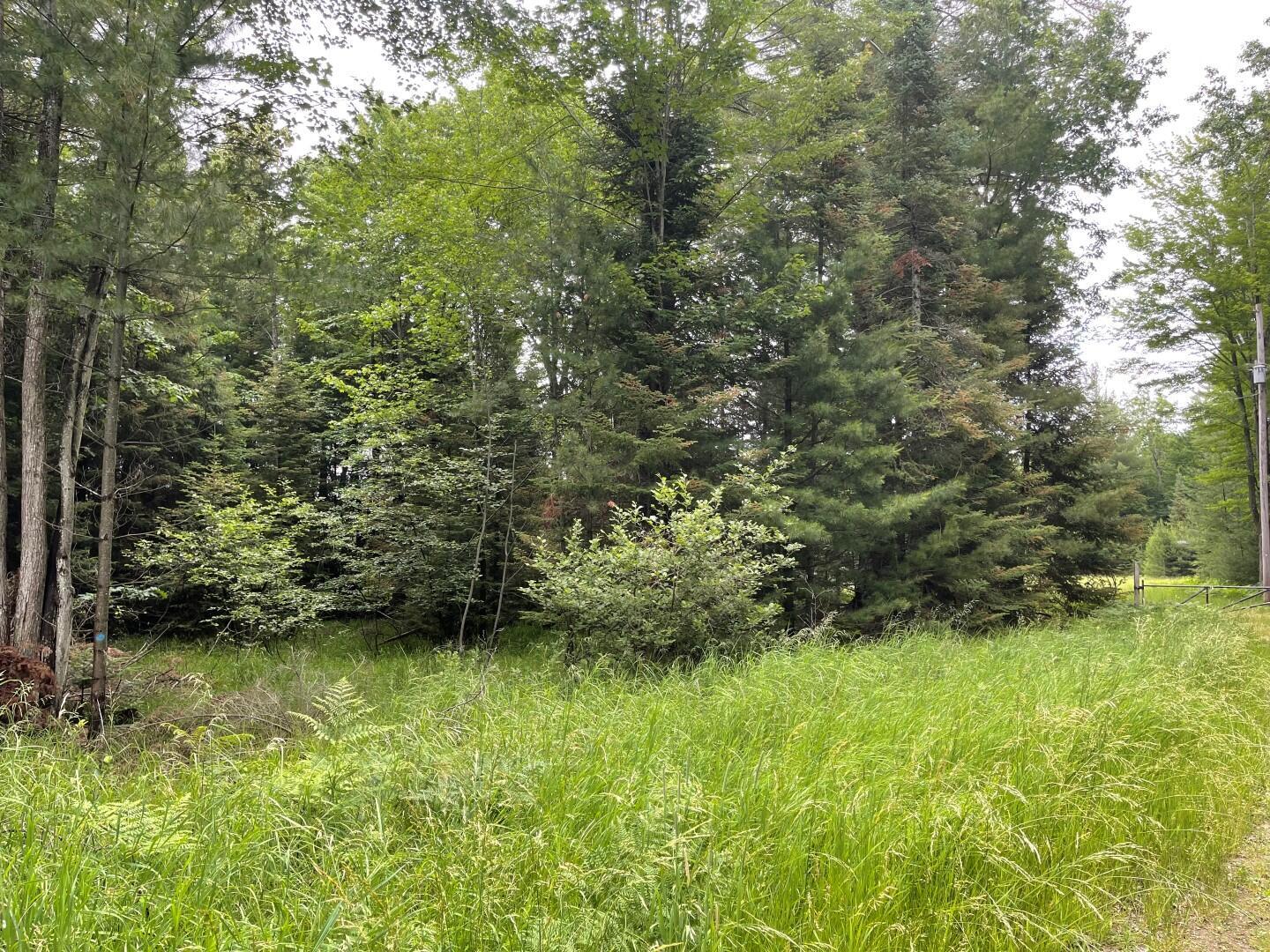 Property Photo: Lot 175 Nestle Road MI 48651