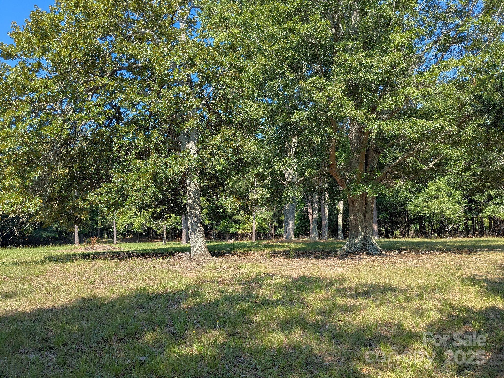 Property Photo: 0000 Tract #1A Roddey Road SC 29704