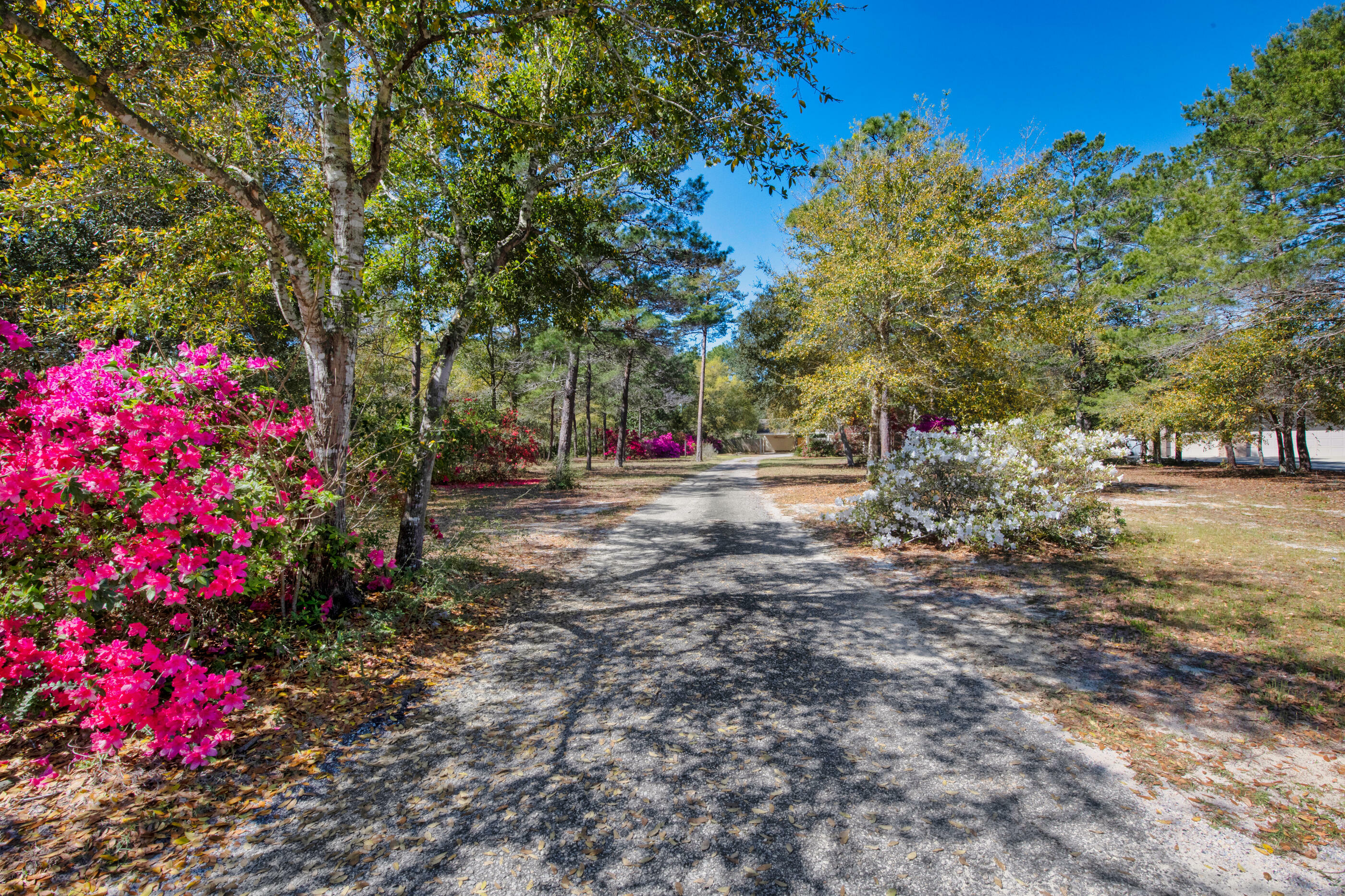 Property Photo: 6539 Robar Tesora Street FL 32566