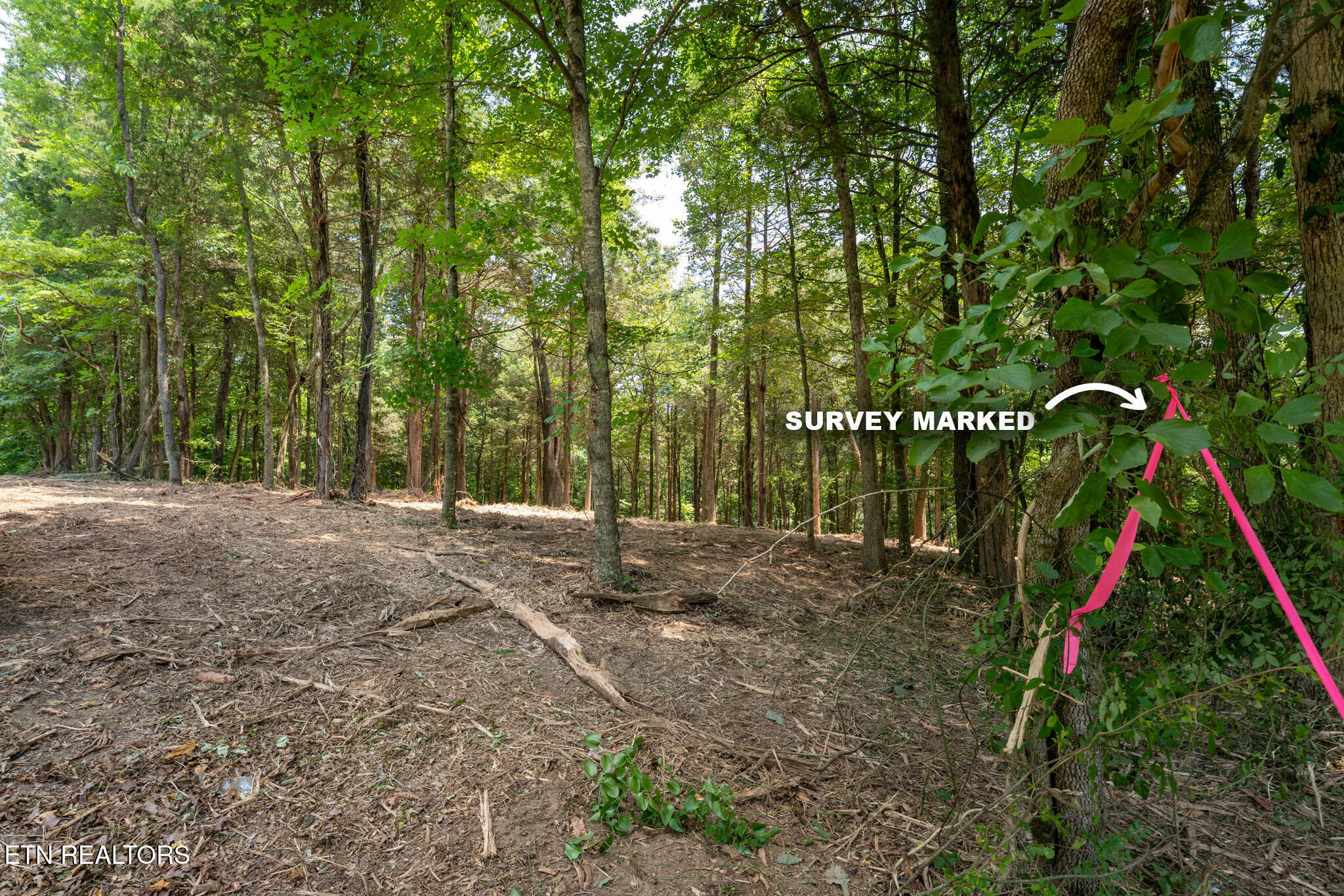 Property Photo: 181 Pinecrest Drive TN 37774